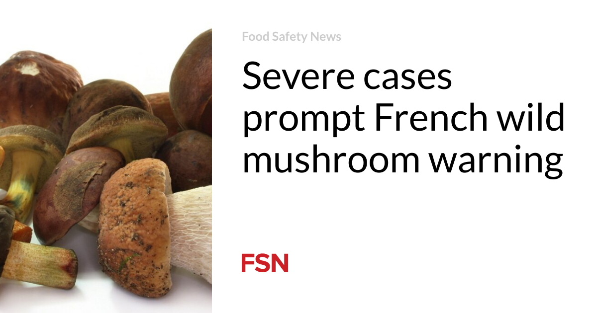 Severe cases prompt French wild mushroom warning