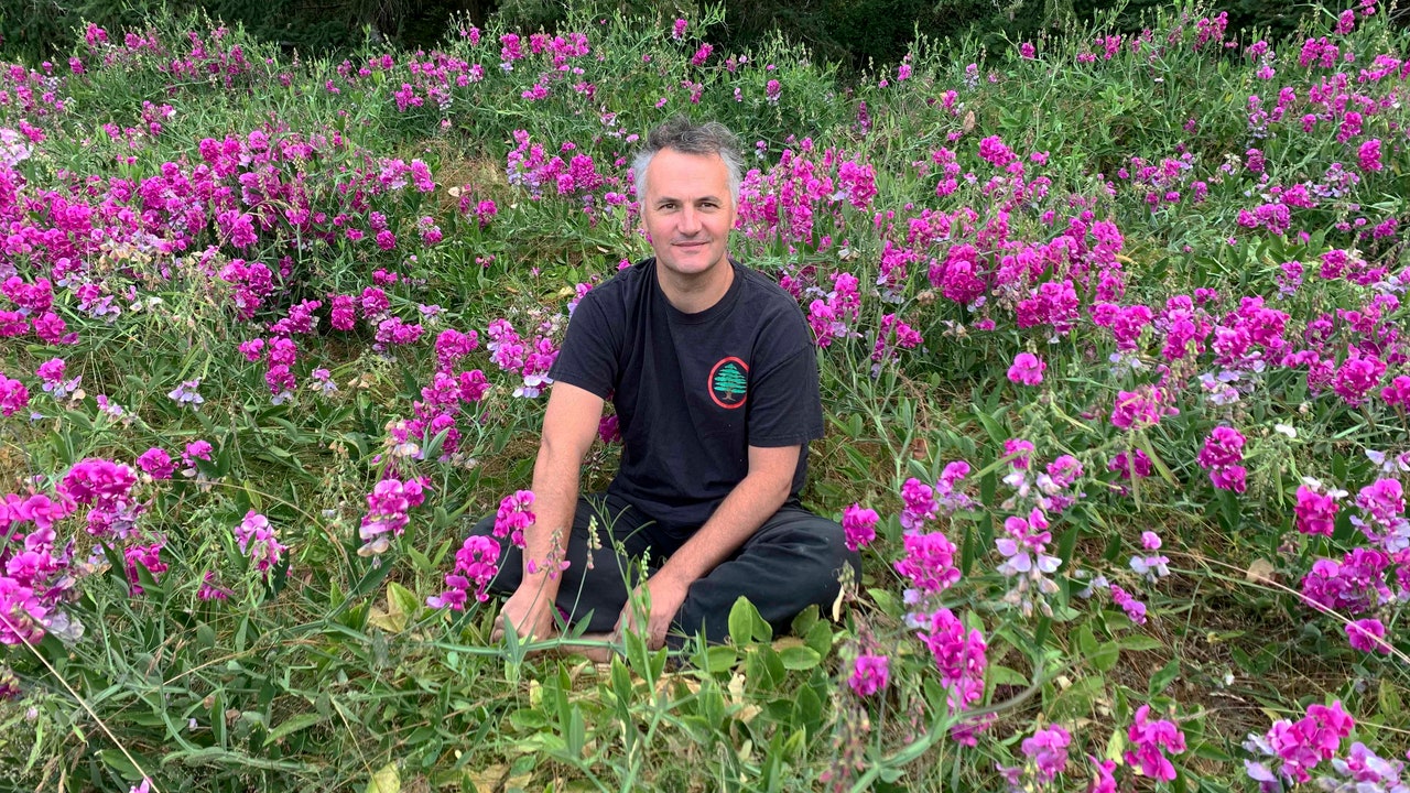 Mount Eerie Shares New Song “I Saw Another Bird”: Listen