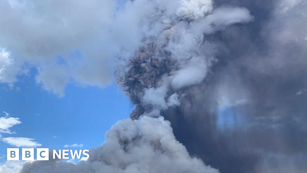 Indonesia’s Mount Lewotobi Laki-laki spews giant column of ash