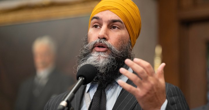 NDP won’t back Liberals’ $250 rebate plan unless expanded: Singh – National