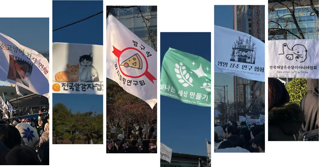 Memes, Jokes and Cats: South Koreans Use Parody for Political Protest