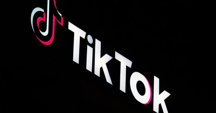 TikTok seeks judicial review of Ottawa’s shutdown order – National