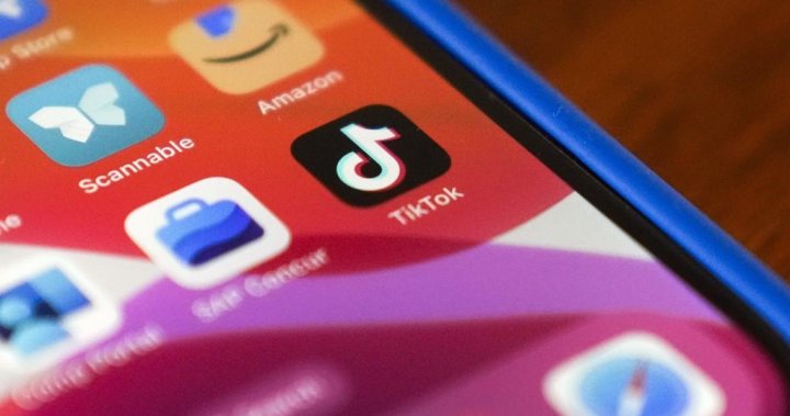 How TikTok grew from a fun app for teens into a potential national security threat – National