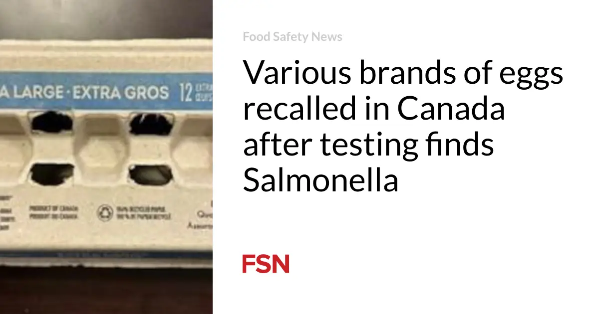 Various brands of eggs recalled in Canada after testing finds Salmonella